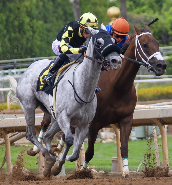 否对交易有 否对交易有